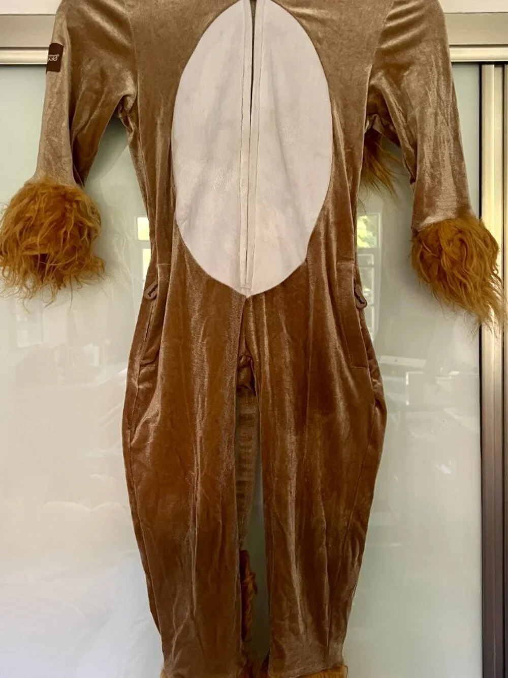 Lion Costume